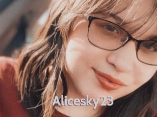 Alicesky23