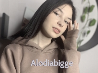 Alodiabigge