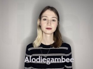 Alodiegambee