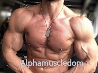 alphamuscledom Live Cam 66