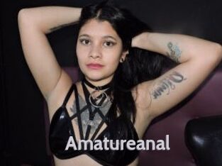 Amatureanal