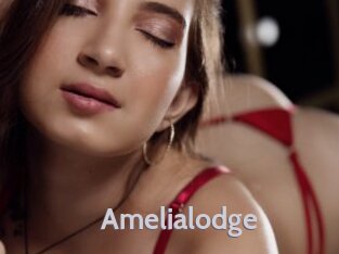 Amelialodge