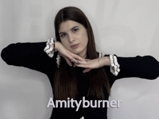 Amityburner