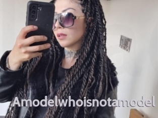 Amodelwhoisnotamodel