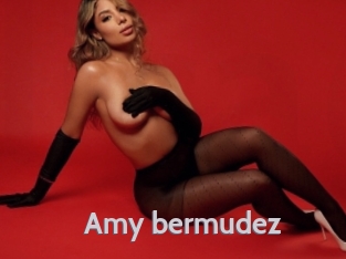Amy_bermudez