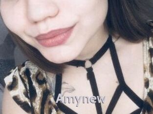 Amynew