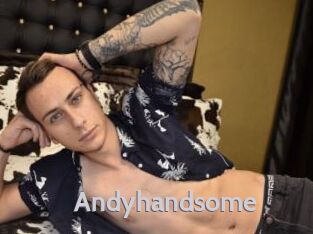 Andyhandsome