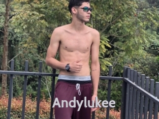 Andylukee