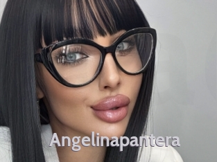 Angelinapantera