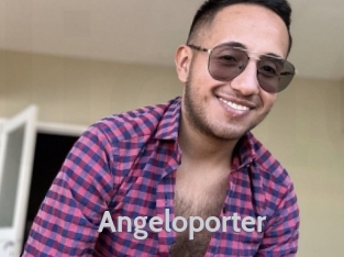 Angeloporter