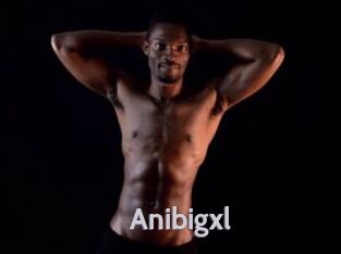 Anibigxl