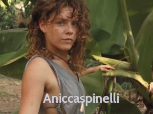 Aniccaspinelli