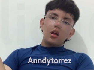 Anndytorrez