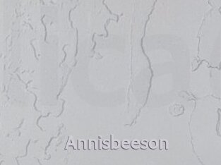 Annisbeeson