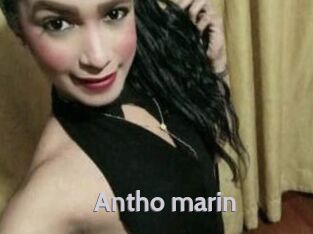 Antho_marin