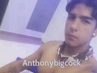 Anthonybigcock