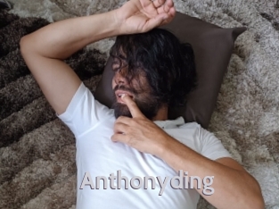 anthonyding Live Cam 66