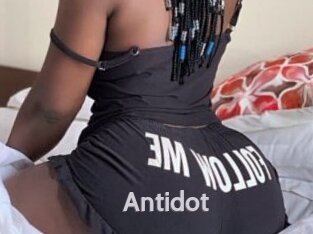 antidot Live Cam 66