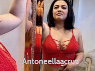 Antoneellaacruz