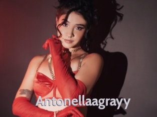 Antonellaagrayy