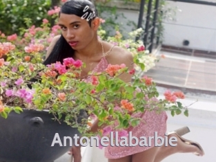 Antonellabarbie