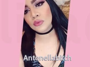 Antonellabitch