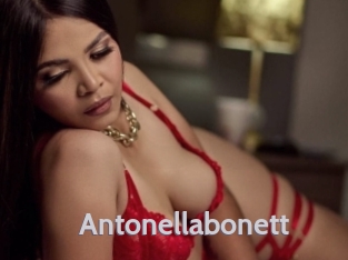 Antonellabonett