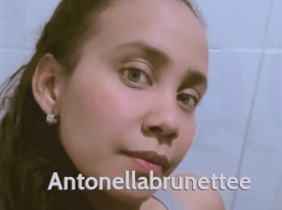 Antonellabrunettee