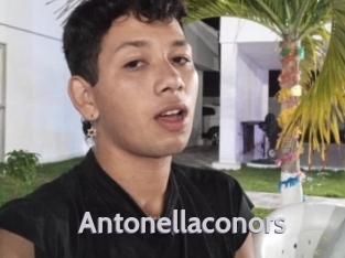 Antonellaconors