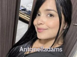 Antonelladams
