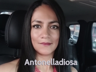 Antonelladiosa