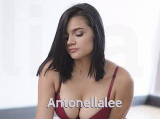 Antonellalee