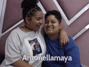 Antonellamaya