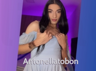 antonellatobon Live Cam 66