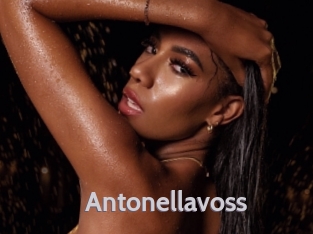 antonellavoss Live Cam 66