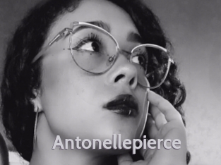 Antonellepierce