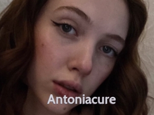 Antoniacure