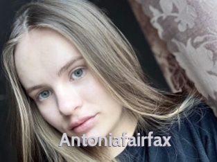 antoniafairfax Live Cam 66