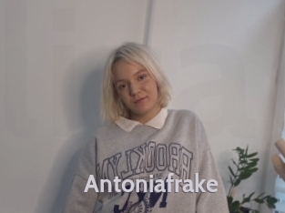 antoniafrake Live Cam 66