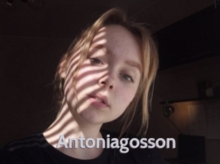 Antoniagosson