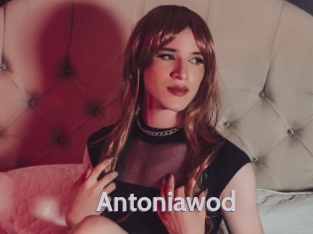 Antoniawod
