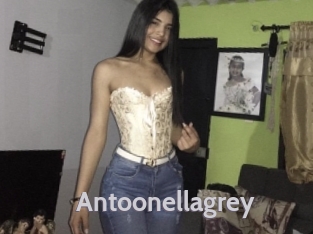 Antoonellagrey