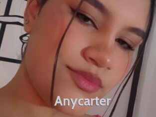 Anycarter