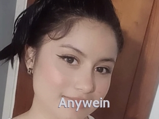 anywein Live Cam 66