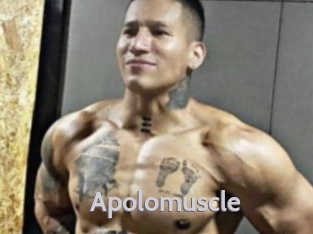 Apolomuscle
