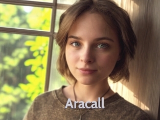 aracall Live Cam 66