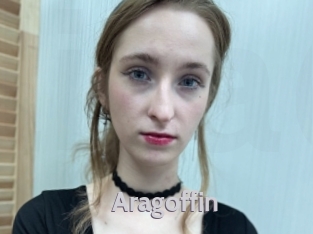 aragoffin Live Cam 66