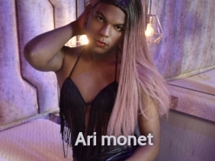 Ari_monet
