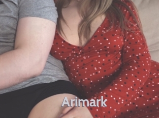 arimark Live Cam 66