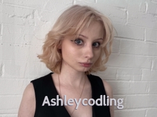Ashleycodling